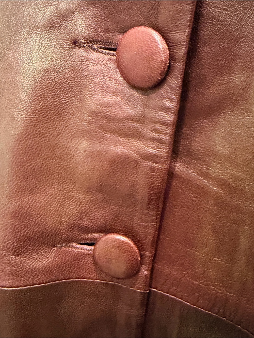 Johenic Leather Button-Front Coat in Deep Brick Red and Shimmering Gold Finish - Picture 5 of 12